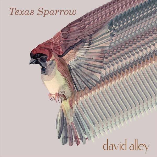 Cover art for Texas Sparrow