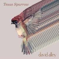 Texas Sparrow